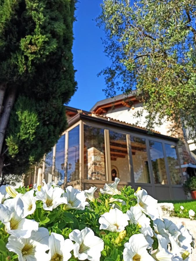 Le Zampolle B & B Cola  Exterior photo